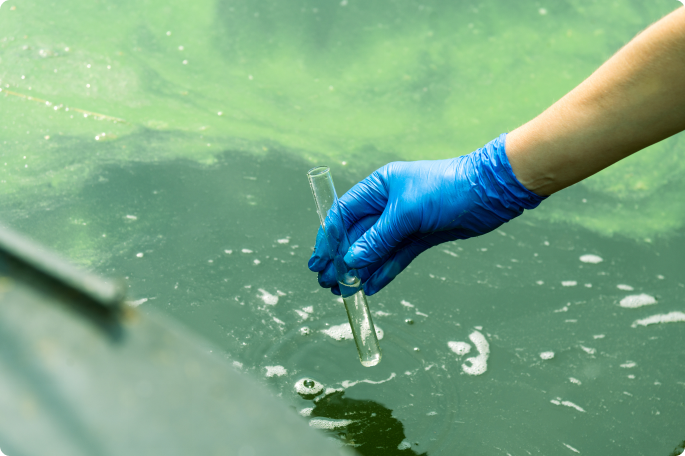 Oily Mix Water